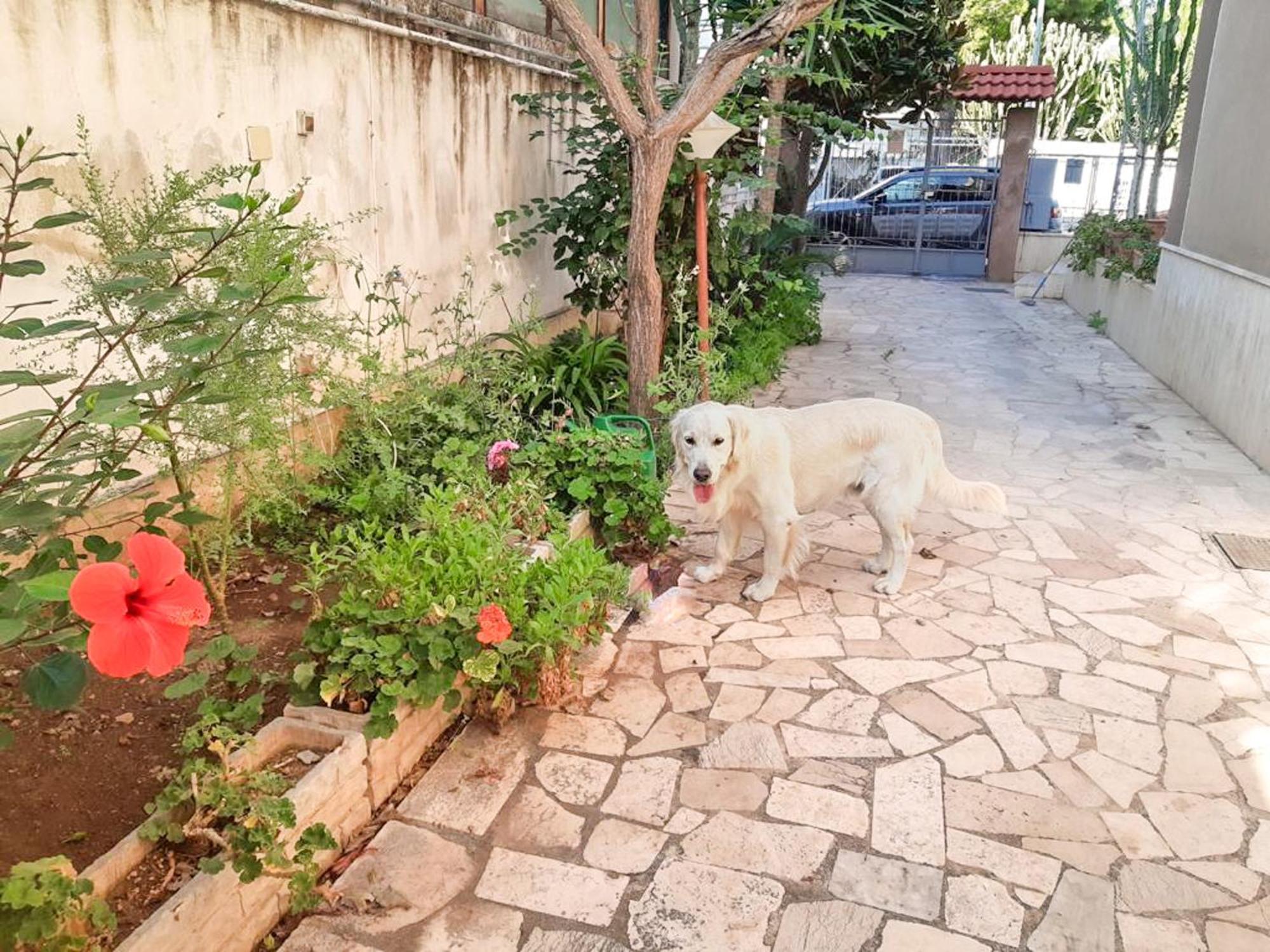 Villa Magnolia Con Giardino Bari Exterior foto